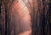 梅西传射建功，助巴萨迎来七连胜佳绩