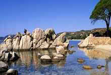 巴黎突遭惨败，欧冠夺冠前景堪忧