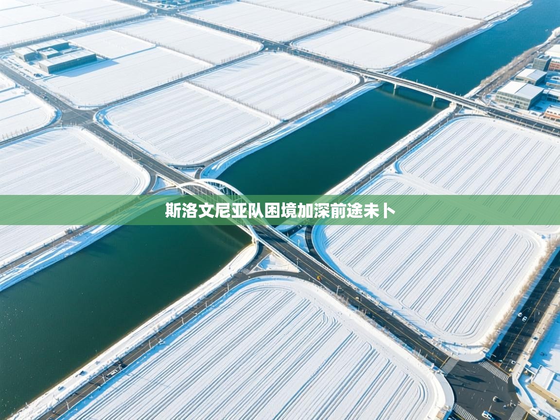 斯洛文尼亚队困境加深前途未卜